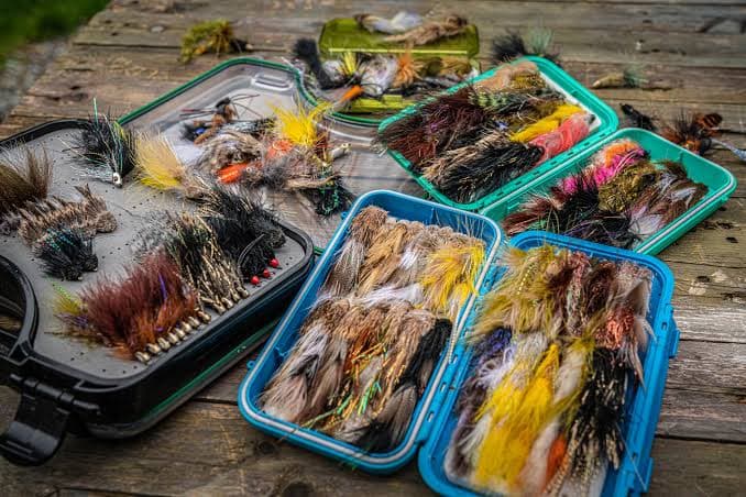 A curated selection of streamer flies